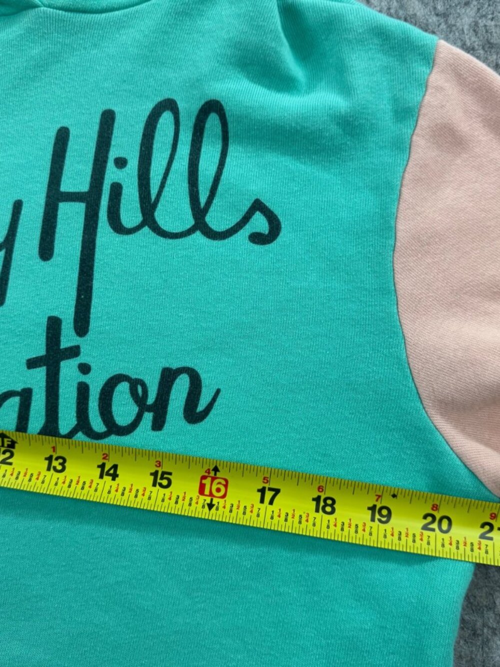 Wildfox Hoodie Sweatshirt Beverly Hills Vacation Sz S Pink Blue - Picture 5 of 9